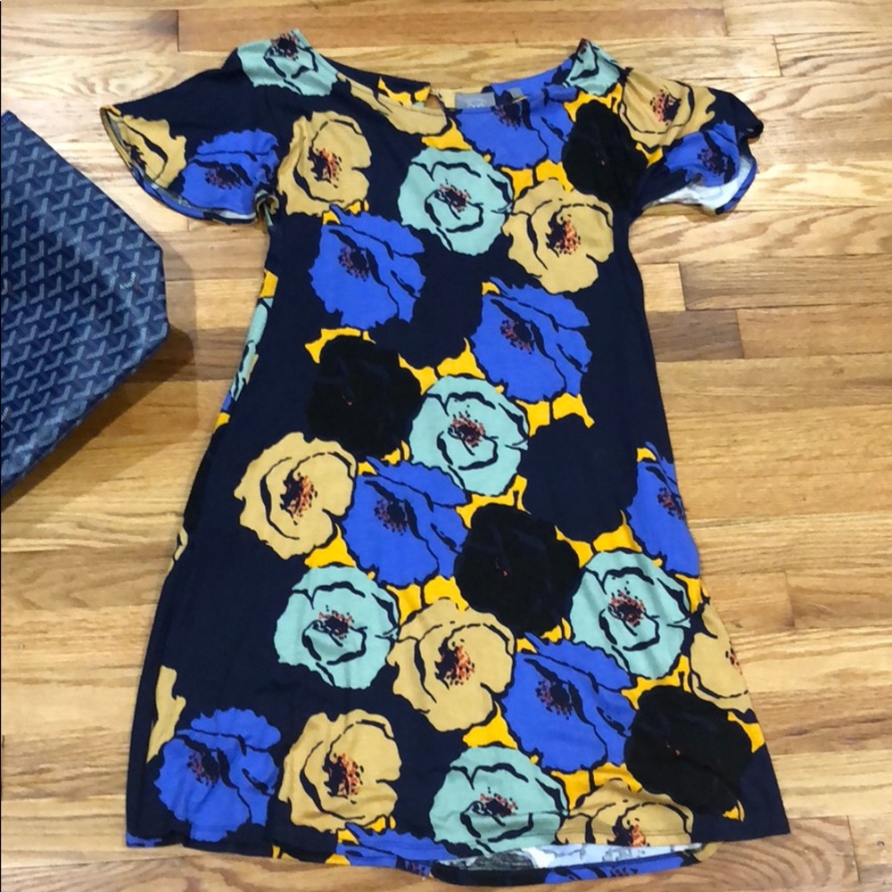 ANTHROPOLOGIE Vanessa Virginia floral dress small